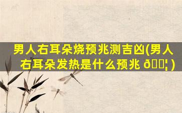 男人右耳朵烧预兆测吉凶(男人右耳朵发热是什么预兆 🐦 )